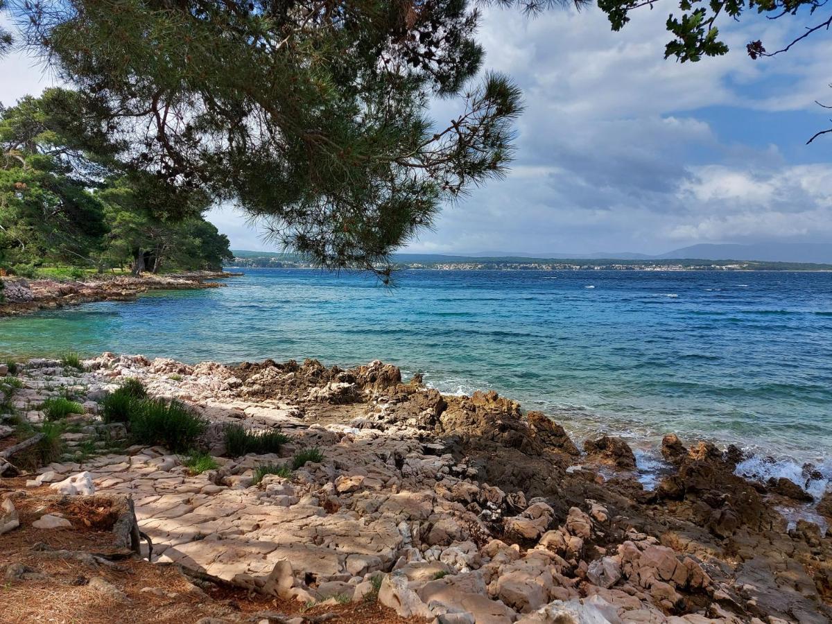 Vila Kraljica Malinska Εξωτερικό φωτογραφία